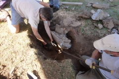 20545417_10203687534265977_2677044096810227067_o